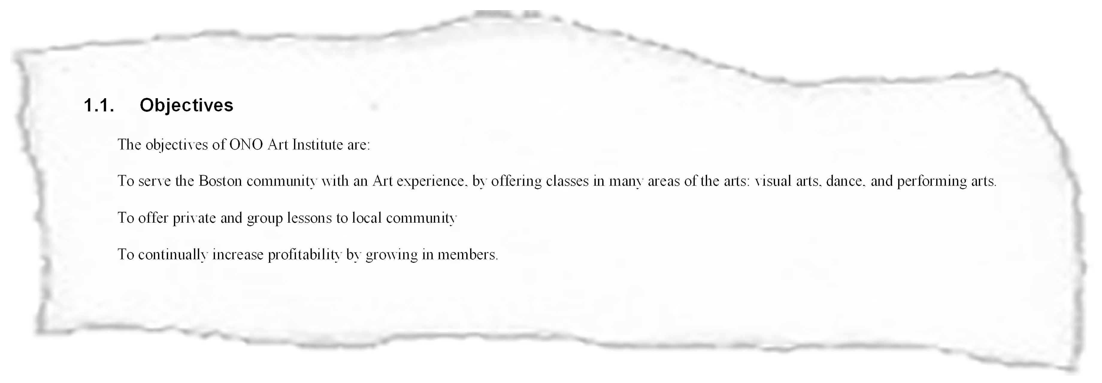 Business plan objectives Business plan objectives