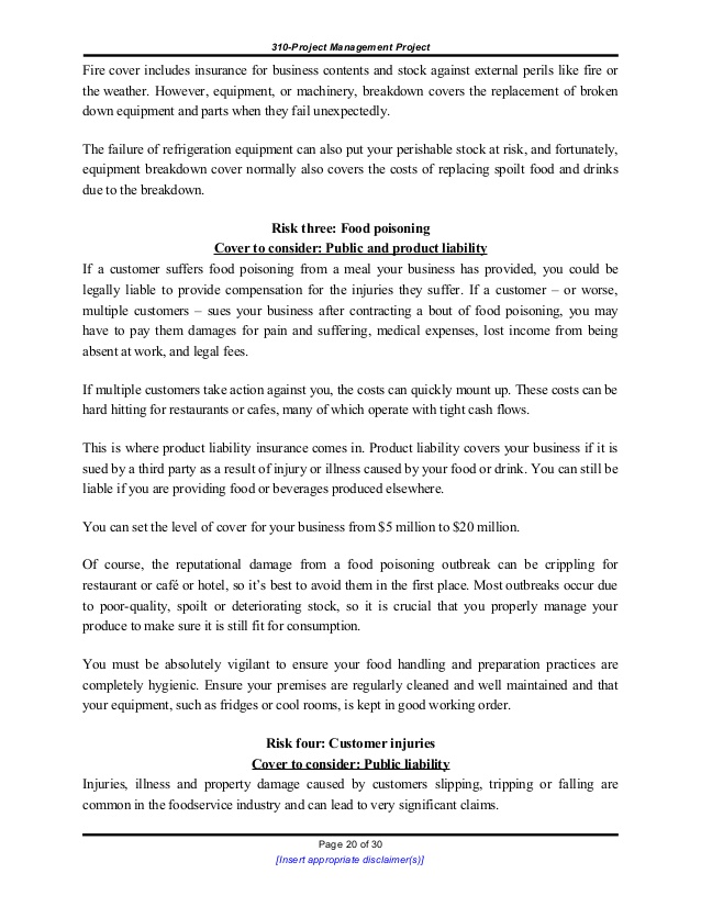 Business Plan Report Template pdf Business Plan Report Template pdf