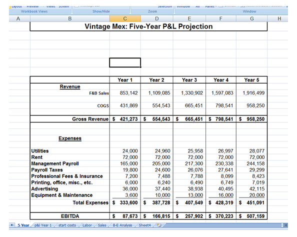 Business Plan Financials Template from www.ghilliesuitmarket.com